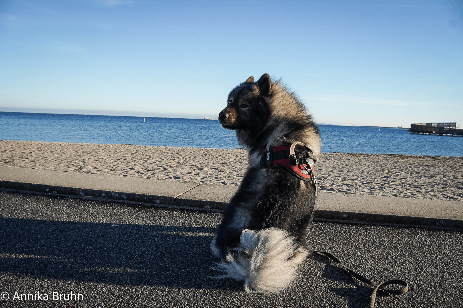 Q mit Blick auf die Kastrup Seebad
